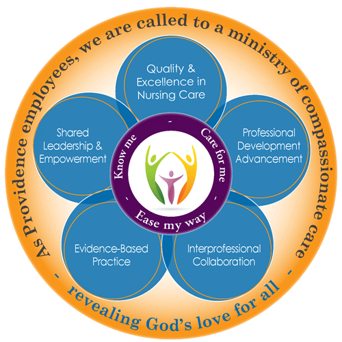 Nursing Professional Practice Model graphic that includes the five components