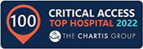 Insignia para el premio Critical Access Top Hospital